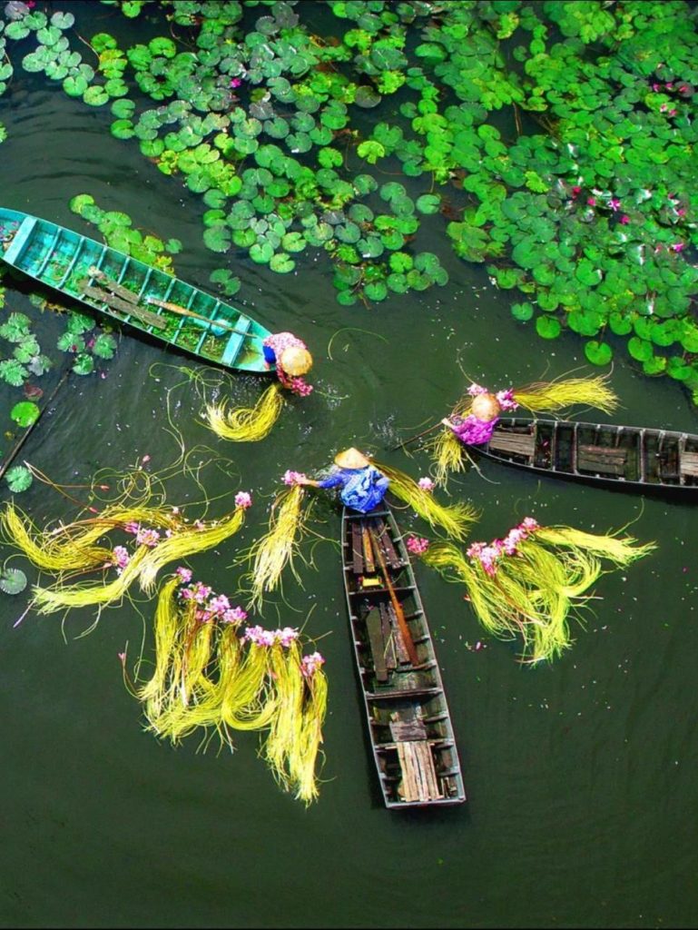 Mekong